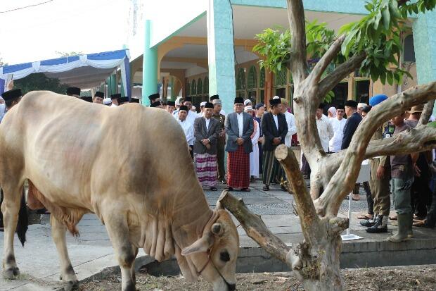Dodi: Berqurban Dekatkan Diri Kepada Allah SWT dan Peduli Sesama