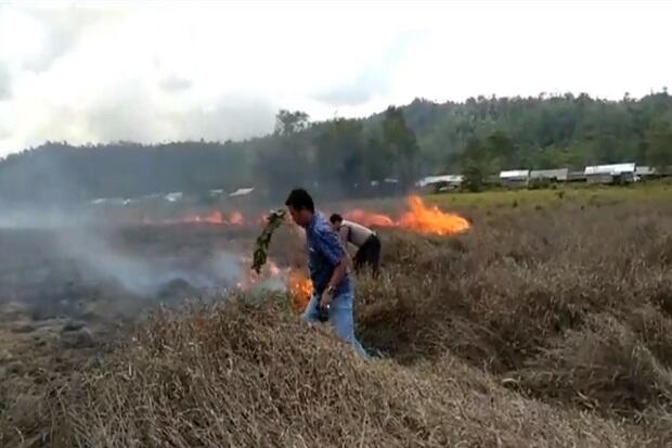 Ratusan Rumah di Konawe Nyaris Terbakar Akibat Kebakaran Lahan Gambut