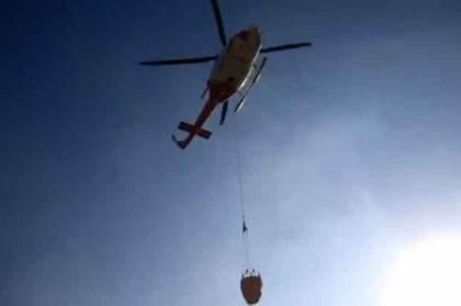 Kebakaran Gunung Ciremai Meluas, Tanaman Edelways dan Cantigi Ikut Terbakar