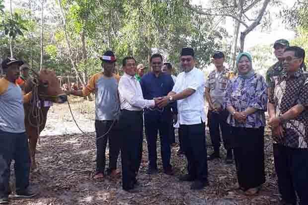 Penyaluran Hewan Kurban Lancar, DPRD Apresiasi Pemkab Kobar