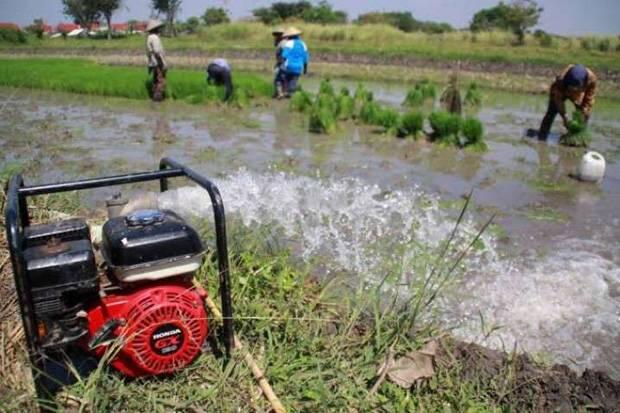 Petani Gunung Kidul Atasi Kekeringan dengan Irigasi Perpompaan