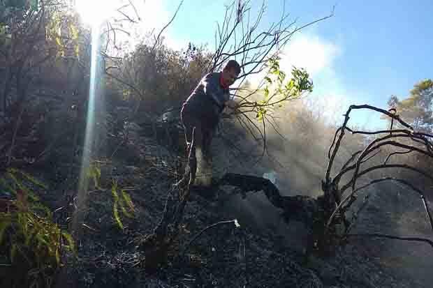 Tim Gabungan Masih Sisir Kawasan Gunung Sumbing yang Terbakar