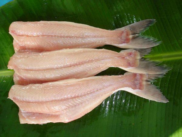 Aneka Manfaat Ikan Patin Yang Kaya Akan Omega 3 - BICA