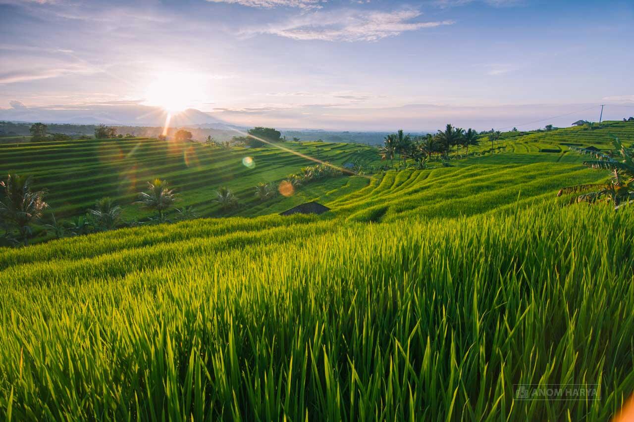Andai Terlahir Kembali, Saya Ingin Tetap Lahir di Indonesia
