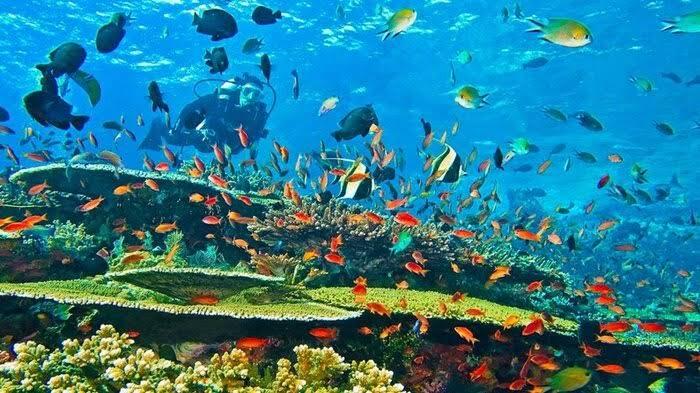 Andai Terlahir Kembali, Saya Ingin Tetap Lahir di Indonesia