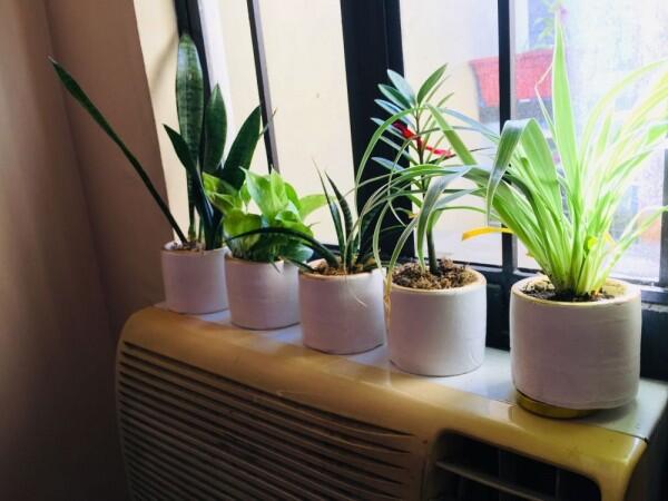 5 Tips Bikin Rumah Kecil Terasa Lega, Cocok Untuk Rumah Pertama!