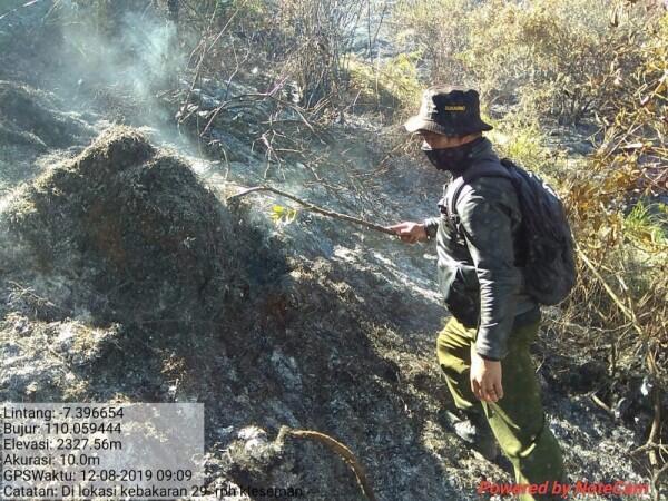 Gunung Sumbing Terbakar, Titik Api Berpotensi Meluas