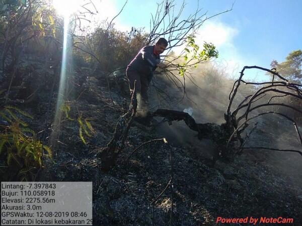 Gunung Sumbing Terbakar, Titik Api Berpotensi Meluas