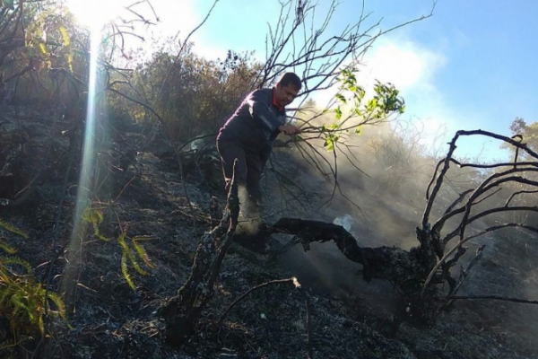 Masih Ada Titik Api, Tim Gabungan Sisir Kawasan Gunung Sumbing
