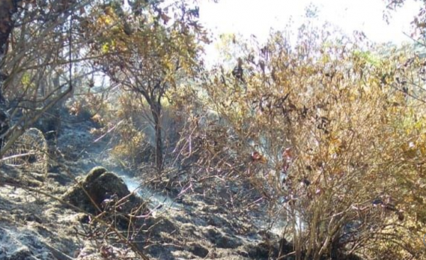 Masih Ada Titik Api, Tim Gabungan Sisir Kawasan Gunung Sumbing