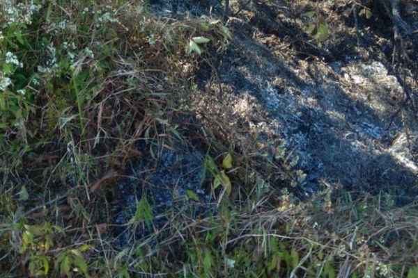 Masih Ada Titik Api, Tim Gabungan Sisir Kawasan Gunung Sumbing