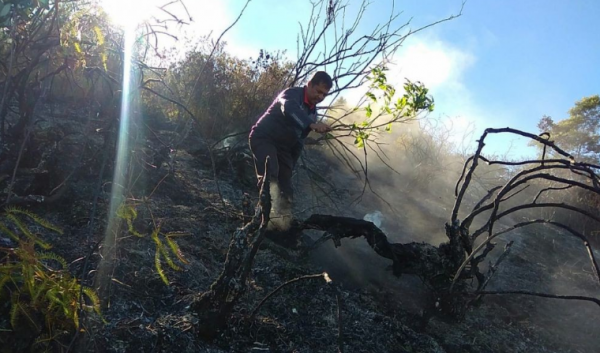 Masih Ada Titik Api, Tim Gabungan Sisir Kawasan Gunung Sumbing