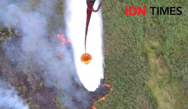 Satu Perusahaan Jadi Tersangka Kasus Kebakaran Hutan dan Lahan