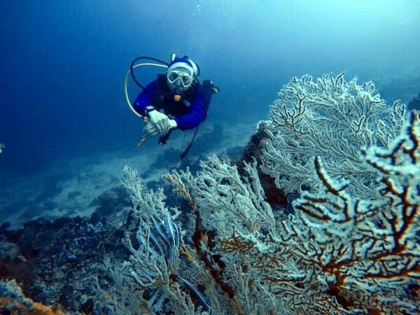 10 Rekomendasi Tempat Wisata Terindah di Tidore yang Wajib Dikunjungi