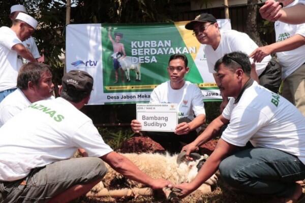 Berdayakan Desa di 20 Provinsi, BAZNAS Sembelih Kurban di 43 Titik