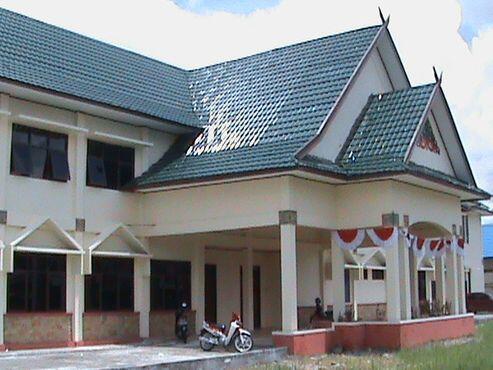 Penemuan Obat Penyembuh Kanker, Siswi Palangka Raya Mendapatkan Penghargaan Dunia!