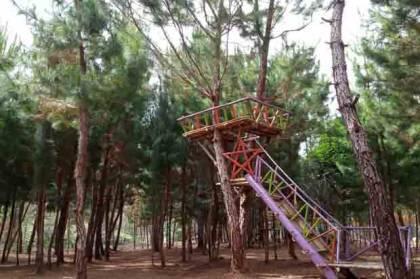 KKN UKI Toraja Promosikan Wisata Alam To' Nakka' di Tana Toraja