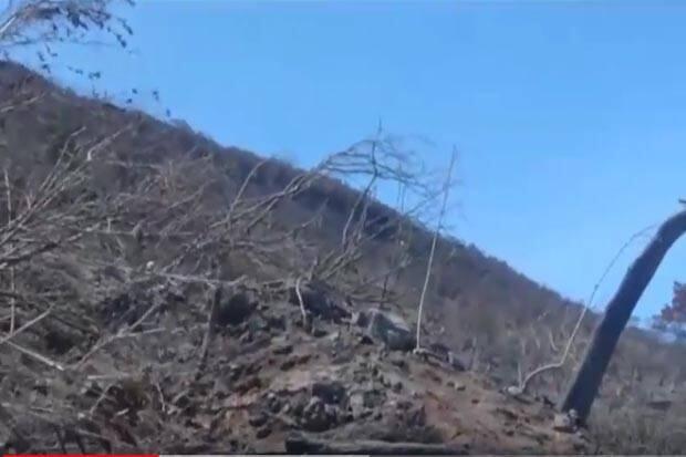 Sudah 7 Hari, Api Masih Membara di Gunung Ciremai