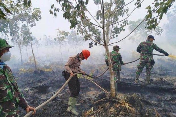 21 Orang Jadi Tersangka Karhutla di Kalimantan Barat