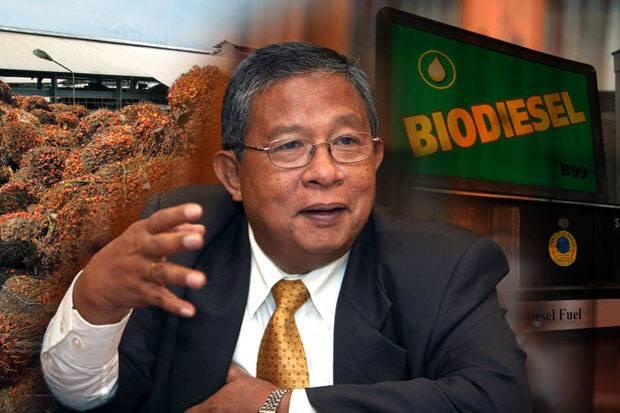 B20 Sukses, Pertamina dan Perusahaan Sawit Investasi Besar-besaran B100