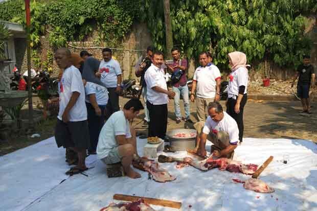 DPD Partai Perindo Jakarta Selatan Potong 8 Hewan Kurban