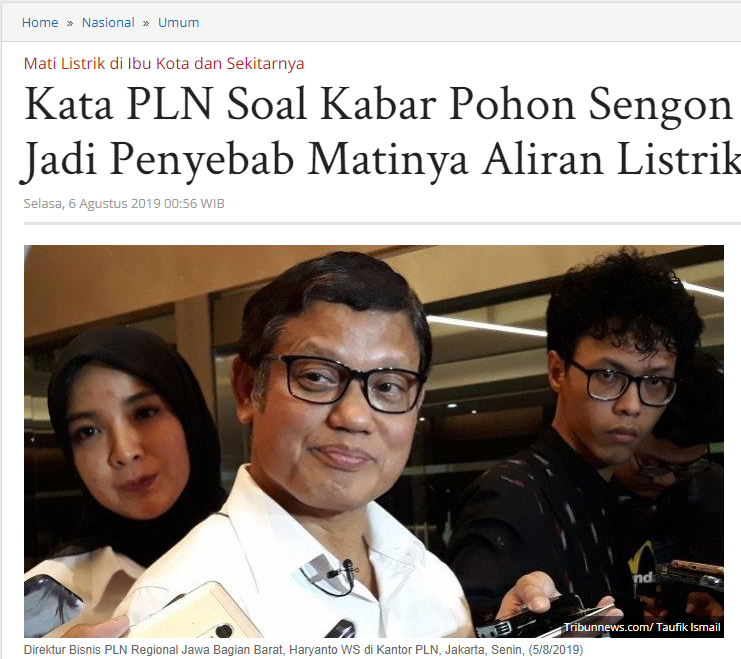 Haruskah Indonesia "Impor" Listrik dan Menteri Juga?