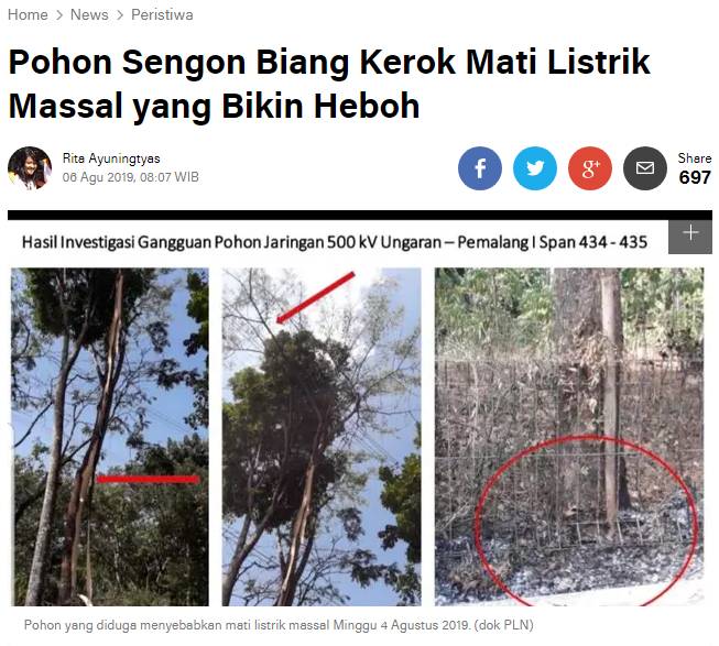 Haruskah Indonesia "Impor" Listrik dan Menteri Juga?