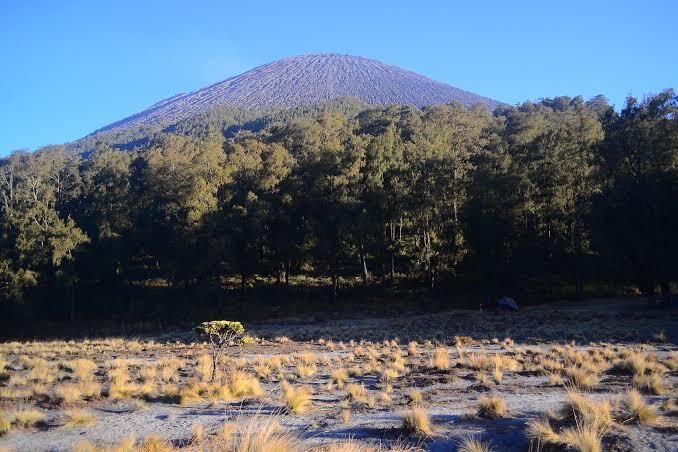 Suka Duka Muncak ke Semeru