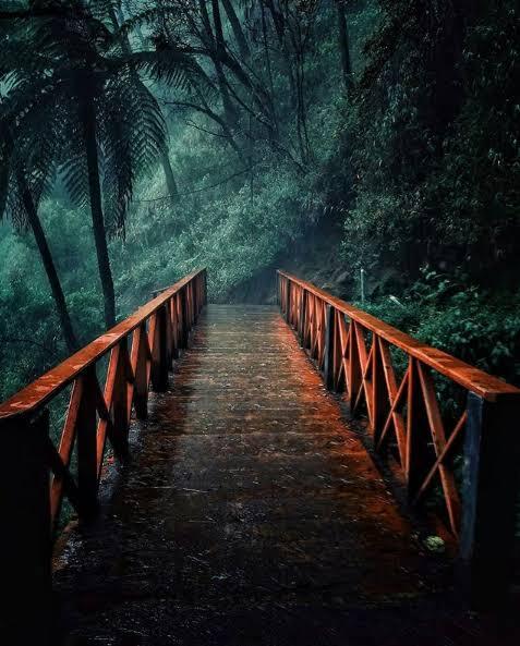 Suka Duka Muncak ke Semeru