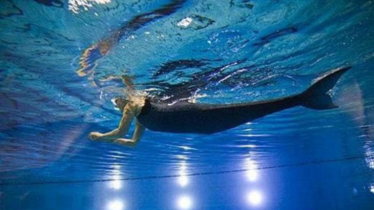 Apakah Putri Duyung Benar-Benar Ada? Ini Jawabannya