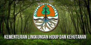 Moratorium Izin Hutan Alam Primer dan Gambut Efektif Kurangi Deforestasi