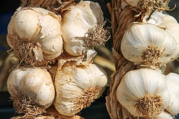 5 Bahan Alami yang Ampuh Turunkan Tekanan Darah yang Tinggi