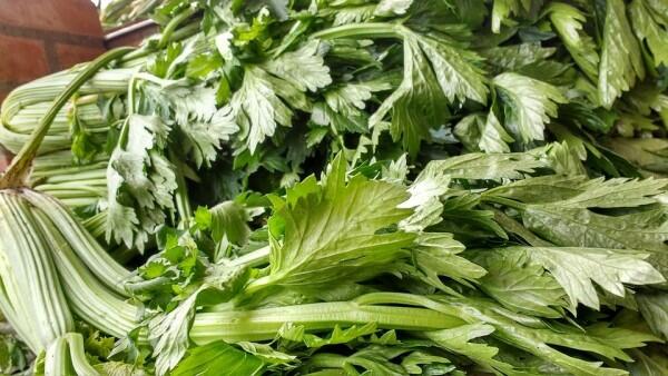 5 Bahan Alami yang Ampuh Turunkan Tekanan Darah yang Tinggi