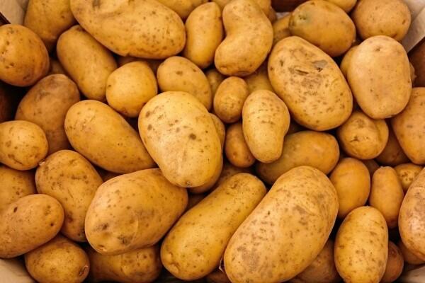 5 Bahan Alami yang Ampuh Turunkan Tekanan Darah yang Tinggi
