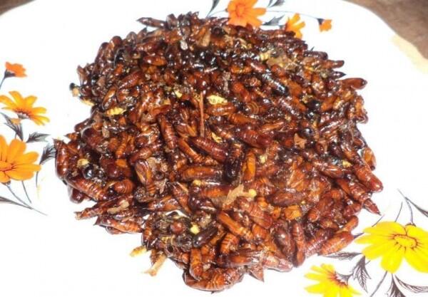 5 Makanan Antimainstream Ini Bisa Kamu Coba di Yogyakarta, Penasaran?