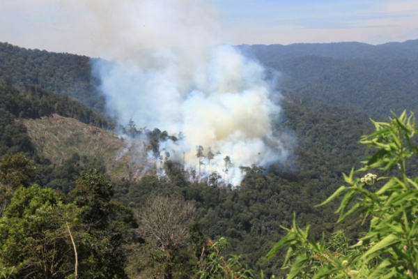 Jokowi Meradang, 4 Pejabat Ini Rame-Rame Pantau Kebakaran Hutan Riau