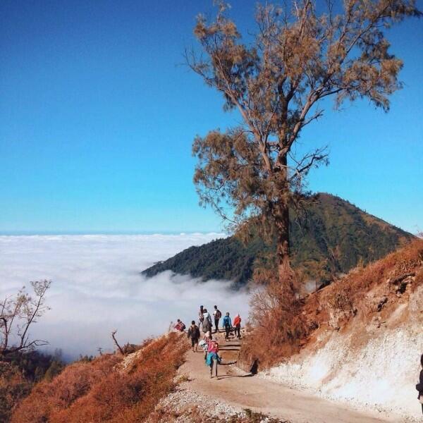 10 Destinasi Wisata Negeri di Atas Awan di Indonesia, Keren Banget