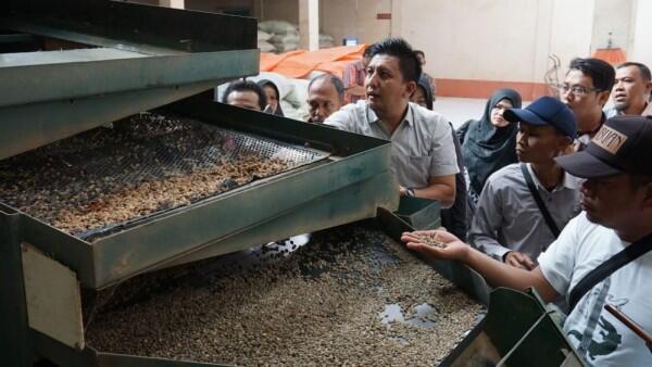 Pemerintah Ajak Petani Kopi Bergabung untuk Lawan Tengkulak