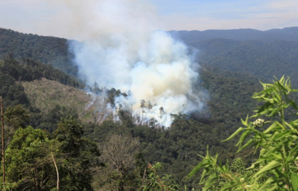 Setelah Gunung Sumbing, Titik Api Kini Muncul di Gunung Batukaru Bali