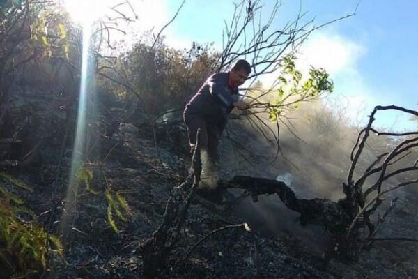 Setelah Gunung Sumbing, Titik Api Kini Muncul di Gunung Batukaru Bali