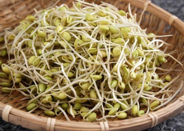 15 Sayur Tinggi Nutrisi Beserta Jumlah Kalorinya, Mana Kesukaanmu?