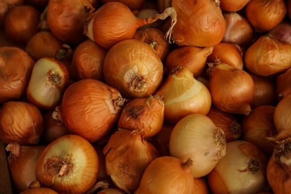 15 Sayur Tinggi Nutrisi Beserta Jumlah Kalorinya, Mana Kesukaanmu?
