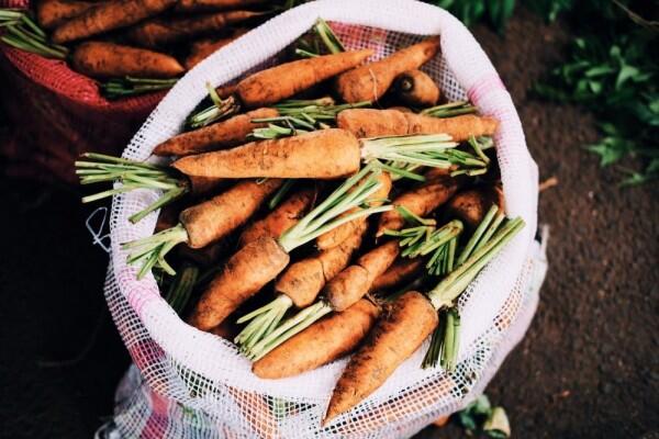 15 Sayur Tinggi Nutrisi Beserta Jumlah Kalorinya, Mana Kesukaanmu?