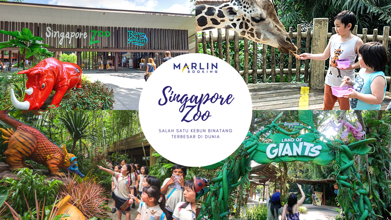 Singapore Zoo – Salah Satu Kebun Binatang Terbesar di Dunia | Marlin Booking