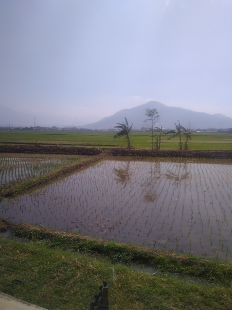 Indonesia Jiwa Negeriku