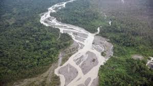 6 Sungai ini disebut sebagai “Amazon Of Indonesia”