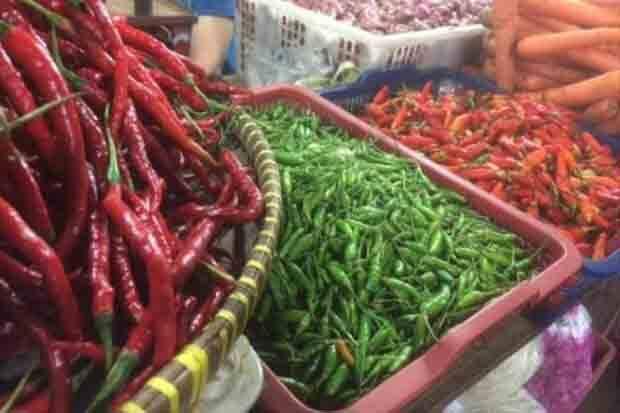 Harga Cabai Rawit di Pangkalan Bun Kian 'Pedas', Per Kilogram Rp120 Ribu