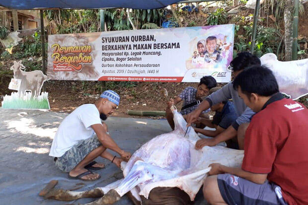 Syukuran Kurban, ACT Bogor Bagikan 300 Kantong Daging Sapi