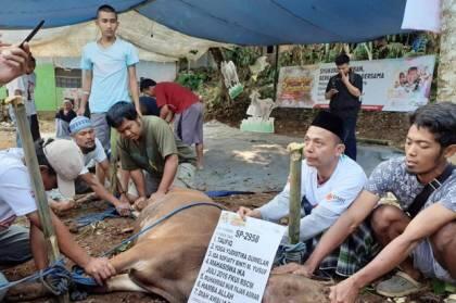 Syukuran Kurban, ACT Bogor Bagikan 300 Kantong Daging Sapi