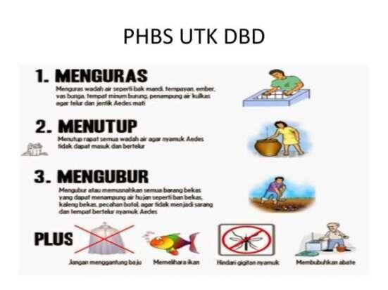 Dinas Kesehatan Kota Pekanbaru Waspadai DBD